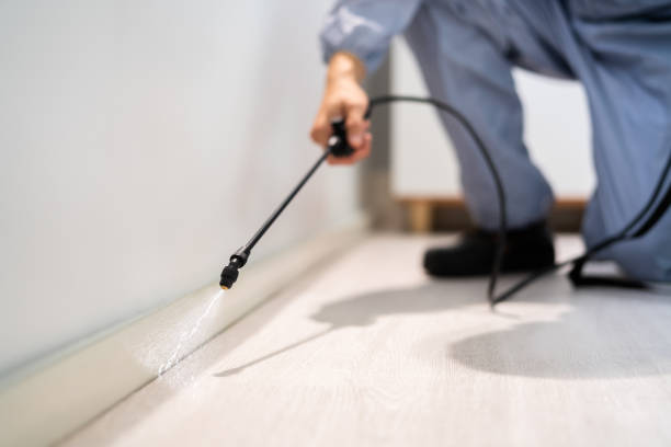 Licensed Pest Control service in Wrightwood, CA - Show Me Pest Control