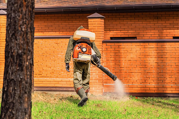 Bed Bug Clearance Verification and Documentation in Wrightwood
